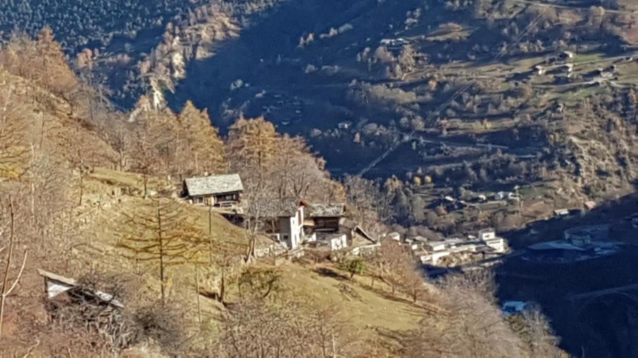 Villa Chalet La Paz With Hotpot And Sauna à Törbel Extérieur photo