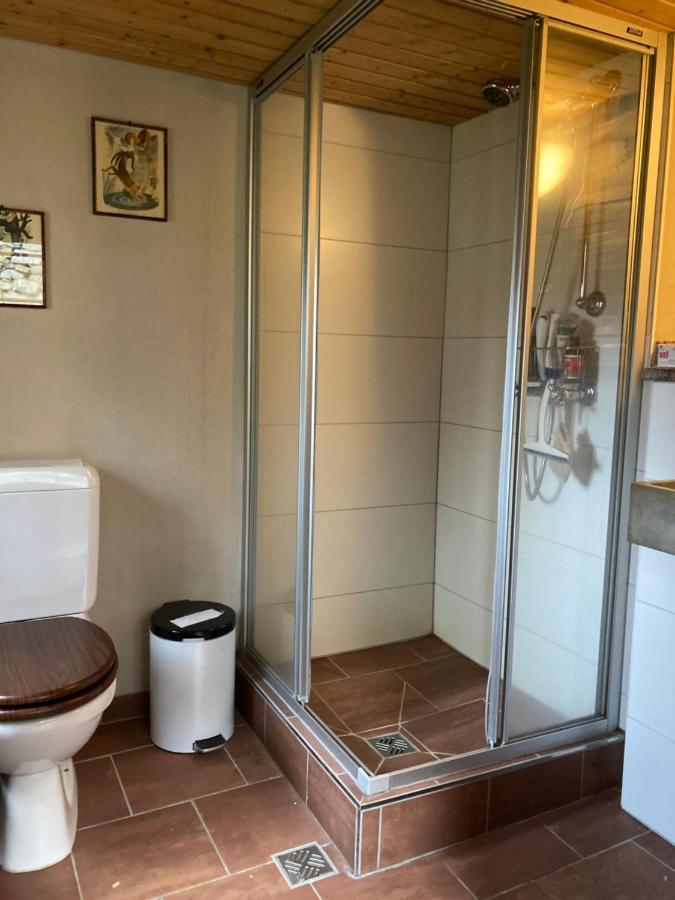 Villa Chalet La Paz With Hotpot And Sauna à Törbel Extérieur photo