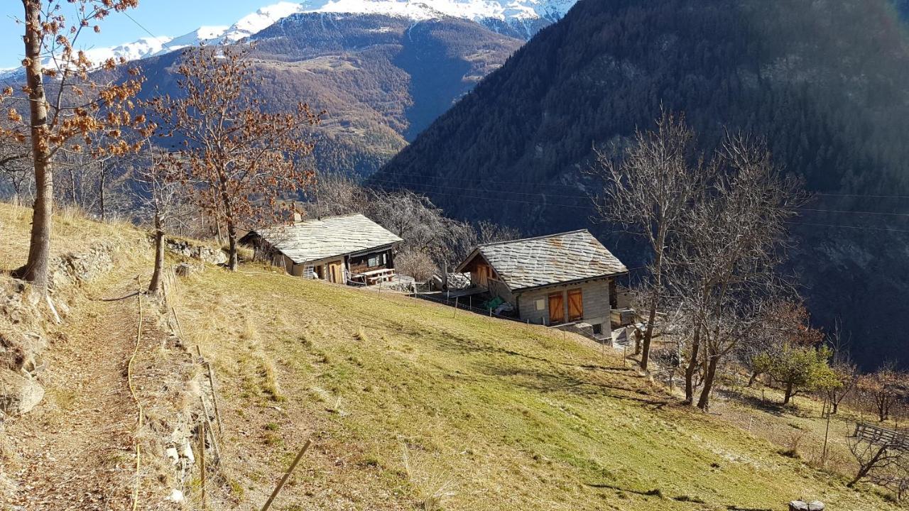 Villa Chalet La Paz With Hotpot And Sauna à Törbel Extérieur photo