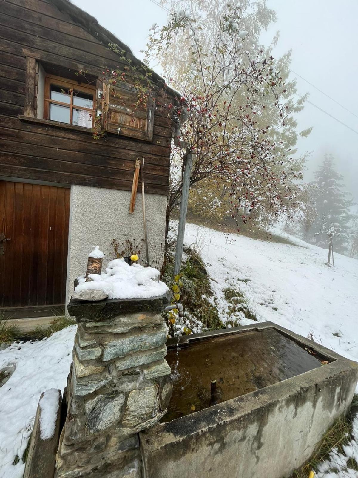 Villa Chalet La Paz With Hotpot And Sauna à Törbel Extérieur photo